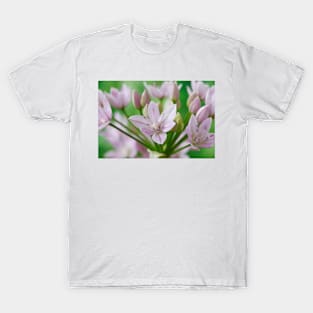Allium unifolium  American onion T-Shirt